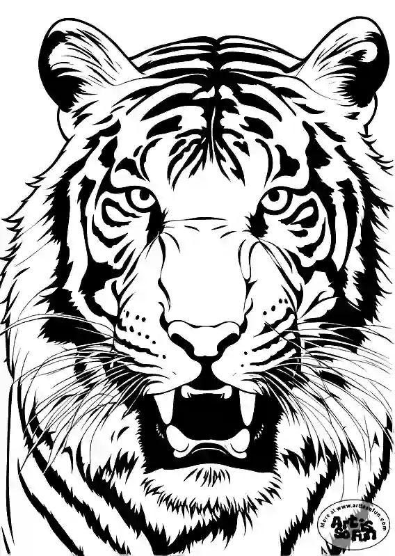 A close-up shot illustration of an Agitated Tiger for adult coloring pages